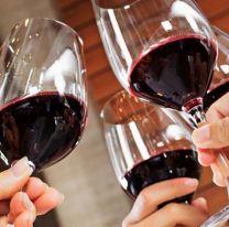 ¡Para los fanáticos del vino! / Se vienee la segunda edición de Degustar Salta