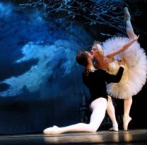 ¡Imperdible! / El lago de los cisnes vuelve a escena en el Teatro Provincial