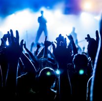 <p>Silhouettes of crowd at a rock concert</p>
