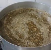 Beneficios de tomar mate cocido