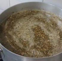 Beneficios de tomar mate cocido