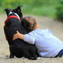 Pasá un día inolvidable con tu mascota en el Día del Animal