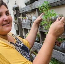 Una salteña creó un sistema económico para filtrar aguas grises y usarlas para regar plantas y árboles