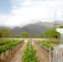 Se viene la Semana del Torrontés de Altura