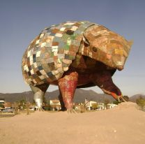 Vamos todos / Invitan a limpiar la rotonda del quirquincho de lata