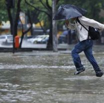 Pronostican tormenta y viento para mañana: hay alerta meteorológica