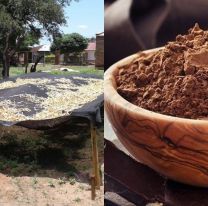 La buena del día / Una planta para procesar algarroba, chañar y mistol beneficiará a 100 familias de Morillo