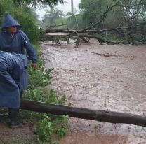 Temporal en Salta: Coronel Moldes complicado tras la fuerte tormenta en sus alrededores