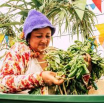 Entre zambas, harina y albahaca… Salta ya palpita el tiempo de Carnaval