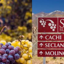 Día del Malbec: Salta y la ruta del vino más alta del mundo