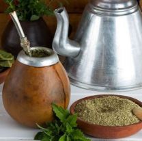 Yuyos para el mate: cuáles son y qué beneficios tienen