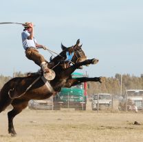 AGENDALO | Se viene el Festi Doma y Fogones “San Juan Bautista”