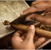 Aprendé a fabricar habanos en Guachipas este viernes