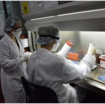 Ya hay profesionales capacitándose para realizar estudios del coronavirus en Salta