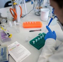 No existen nuevos casos de COVID-19: hoy se conocerá el resultado de 3 estudios pendientes