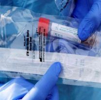 Coronavirus: Salta contará con 1.000 reactivos
