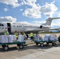 Llegaron 74 mil dosis antigripales y se distribuirán desde hoy