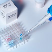 Llegaron 1.000 reactivos más a Salta para realizar los testeos de coronavirus
