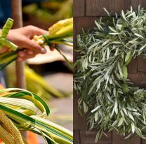 “Domingo de Ramos” en casa: poné tu ramito en la puerta o ventana