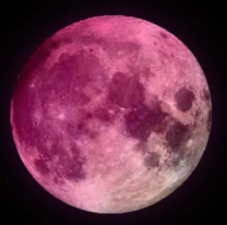 El martes se podrá ver la Superluna rosa en Salta
