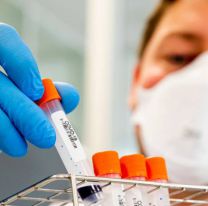 La Ivermectina frena la reproducción del coronavirus