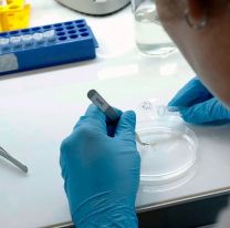 Los dos casos positivos, a punto del alta