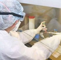 Desde el inicio de la pandemia Salta tiene solo tres casos confirmados y se mantiene estable