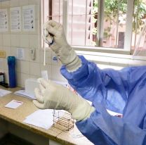 Coronavirus: dieron de alta a más de 900 personas