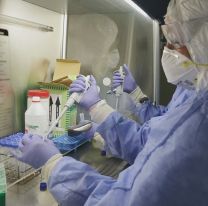 Excelente noticia: Salta cumplió 22 días sin nuevos casos positivos de coronavirus