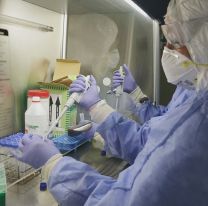 No se registran nuevos casos positivos de Covid-19 en Salta