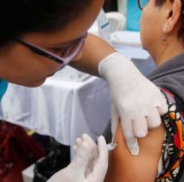 Llegaron 50 mil vacunas antigripales a Salta