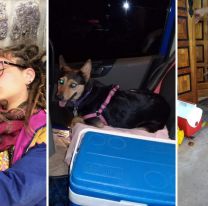 Una historia con final feliz: luego de ser separada en Salta de su perrita por la cuarentena,  Abril se reunió con ella en Buenos Aires