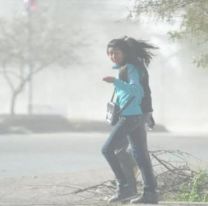 Alerta meteorológica en Salta por fuertes ráfagas de viento zonda
