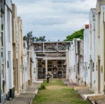 FOTOS | El “perro de la muerte” apareció en el cementerio de Salta y lo fotografiaron