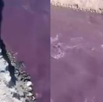 VIDEO | En Salta, el agua de un río se convirtió en vino