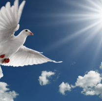 Octavo Día de la Novena por la Unción del Espíritu Santo