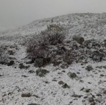 La nieve llegó a La Cuesta del Obispo, mientras sigue bajando la temperatura en Salta