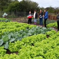 Guía sobre huertas comunitarias y alimentación saludable