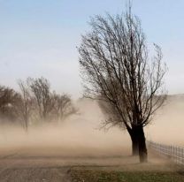 Continúa el alerta por vientos intensos en Salta