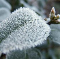 A salir bien abrigados y con barbijos: viernes soleado en Salta, pero muy frío