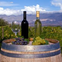 Capacitan sobre el posicionamiento de vinos de altura en Salta