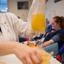 Coronavirus en la Argentina | El Senado aprobó la ley de donación de plasma