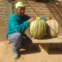 Un agricultor salteño cosecho un zapallo de 25 Kg