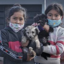 Festejá el “Día del Mejor Amigo con tu perro