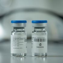 Coronavirus: un suero hiperinmune desarrollado en Argentina comenzará la prueba en humanos