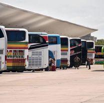 Confirman la vuelta de los micros de larga distancia: “Está listo el protocolo”