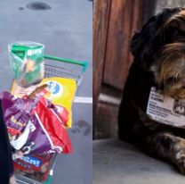 Un “perromóvil solidario repartirá alimento balanceado