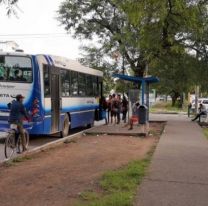 Así funcionará SAETA hasta el martes 15 de septiembre