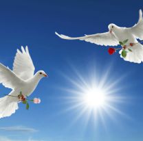 21 de septiembre: Día Internacional de la Paz