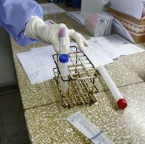 Ya son más de 8.900 los salteños recuperados del coronavirus